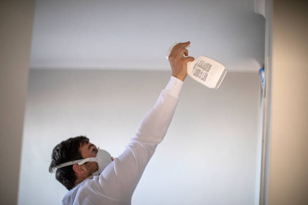 Best Commercial Mold Removal  in Haledon, NJ