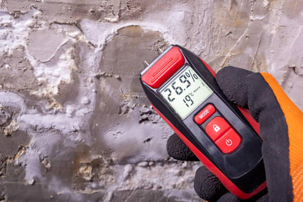 Best Crawl Space Mold Removal  in Haledon, NJ