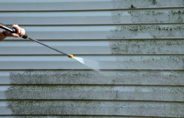 Best Mold Damage Repair  in Haledon, NJ