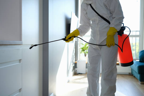Best Emergency Mold Removal  in Haledon, NJ