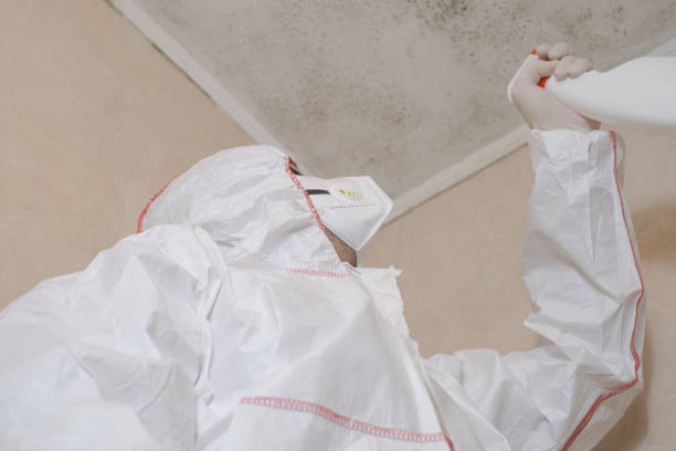 Water Damage Restoration in Haledon, NJ
