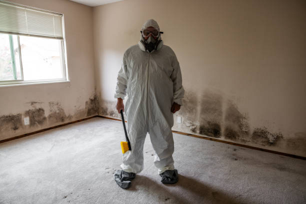 Office Mold Removal Services in Haledon, NJ